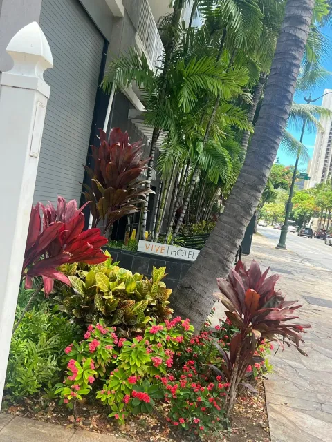 An Excellent Stay Experience! 🌺