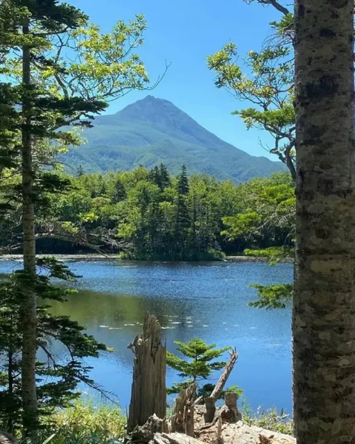 🇯🇵 Japan Private Car Rental Price List 🚖