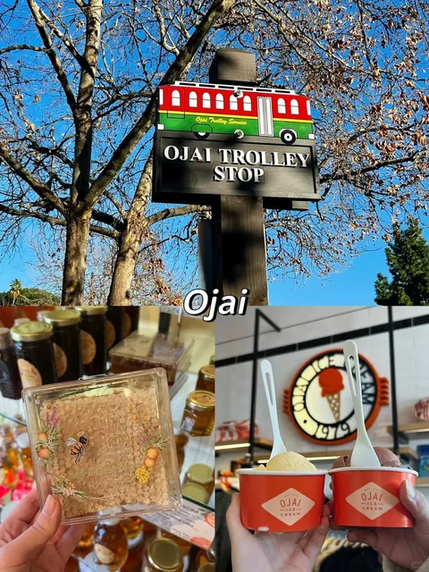 Santa Barbara Ultimate Travel Guide 🏖️