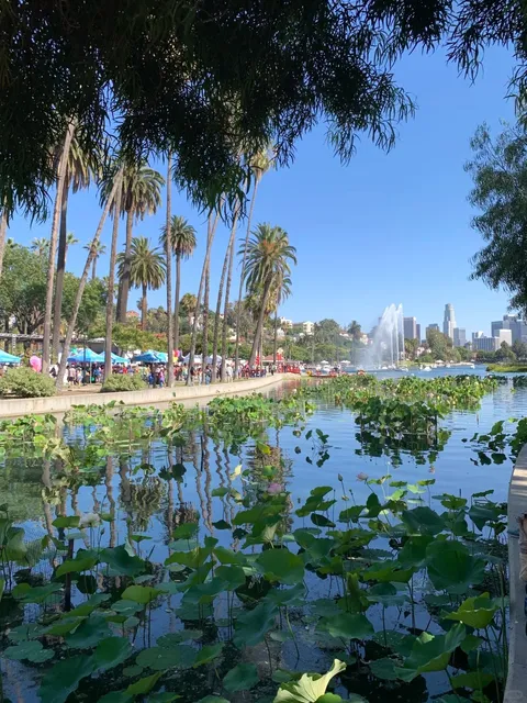 ​​🪷 Echo Park Lotus Festival - Where Dragon Boats & Blooms Collide!​​