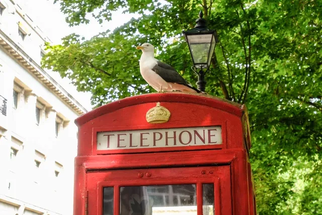 Birmingham's Canals: Where History Meets Modern Pulse.🙌