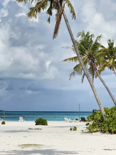 How to Enjoy the Maldives Affordably? ✈️🌊💰