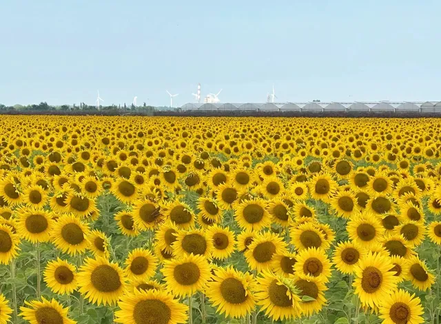 France 🇫🇷 Travel Itinerary & Guide | Days 5-6: Avignon (Part 2)