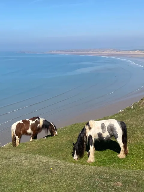 🏴󠁧󠁢󠁷󠁬󠁳󠁿 The Ultimate Guide to Rhossili Bay