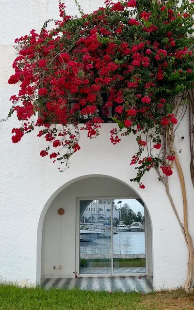 Port El Kantaoui: A Hidden Gem by the Mediterranean 🏖️🏰🌊（1）