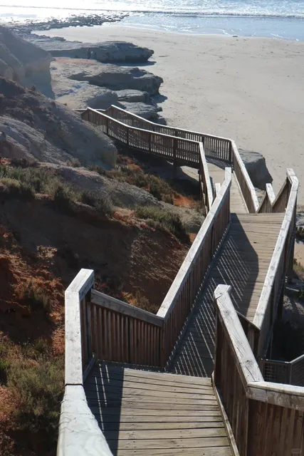 🇦🇺 4-Day Adelaide Itinerary: City, Nature & Wildlife