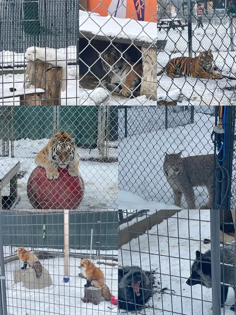 Spokane, Washington: A Hidden Gem for Your Travel List ❄️