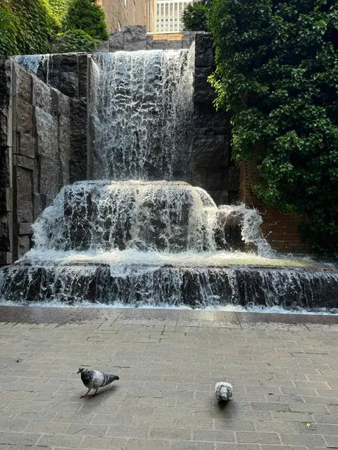 City Walk | A Hidden Waterfall in the Heart of Manhattan