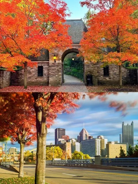 Autumn in Pittsburgh: Must-Visit Parks for Fall Foliage 🍁