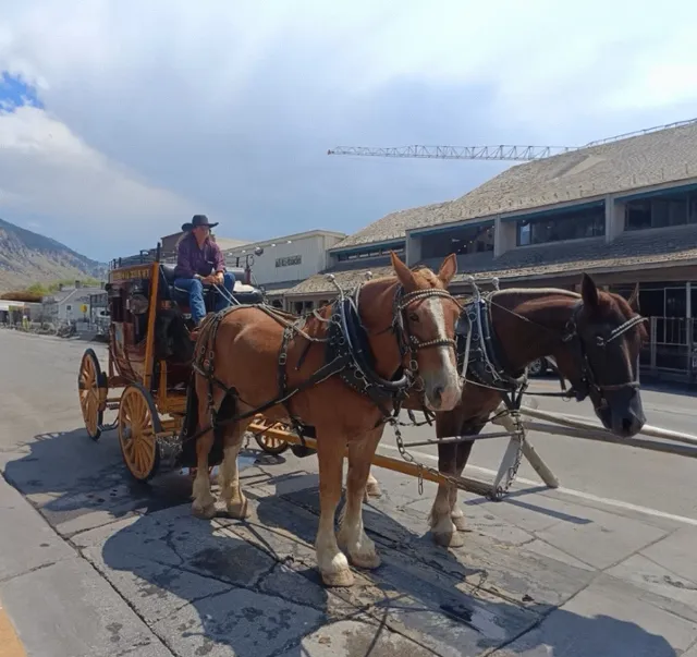 Jackson Town: A Hidden Gem in the Heartland  