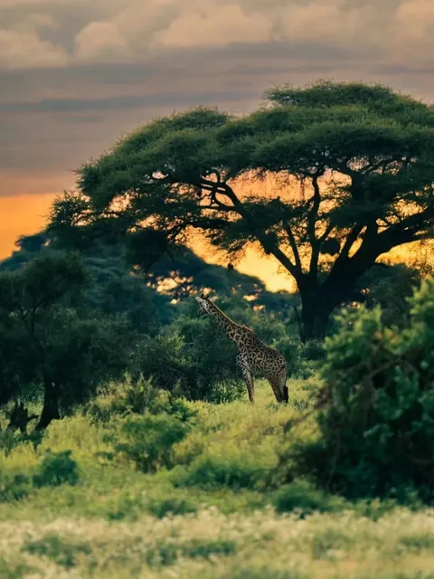 To search for the words in geography books at the ends of the earth