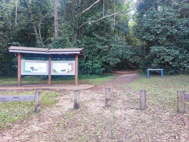 🇦🇺 Cairns After-Dark Adventure | Unique Night Tour