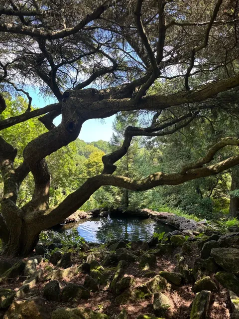 Deep Cut Gardens | NJ’s Secret Garden Escape 🌸🌿  