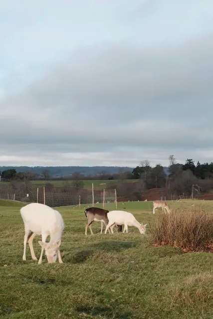 London Surrounding Area - Sevenoaks