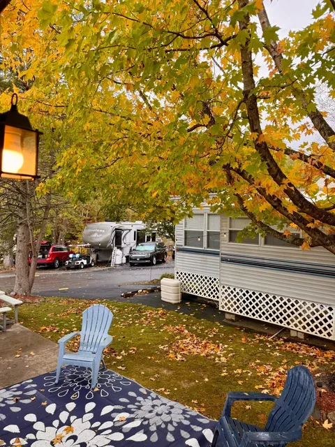 🍁 Great Smoky Mountains Fall Foliage Update | Oct 18-19