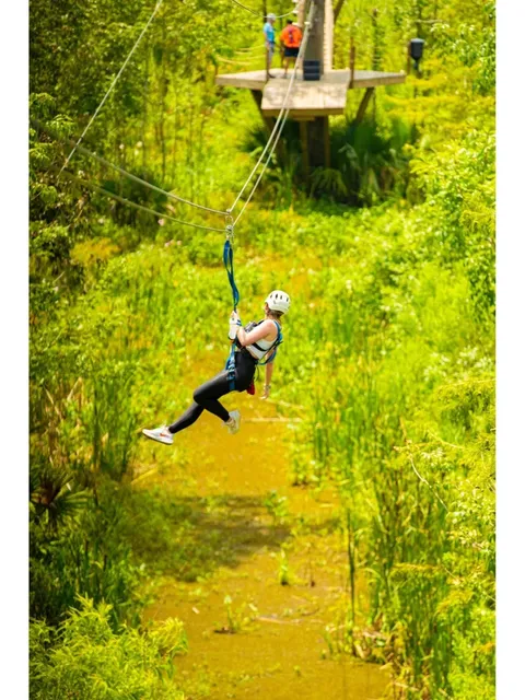 ​​ZipNOLA: Soar Through Louisiana's Wilderness Like a Bird​​ 🦘🪂🌳