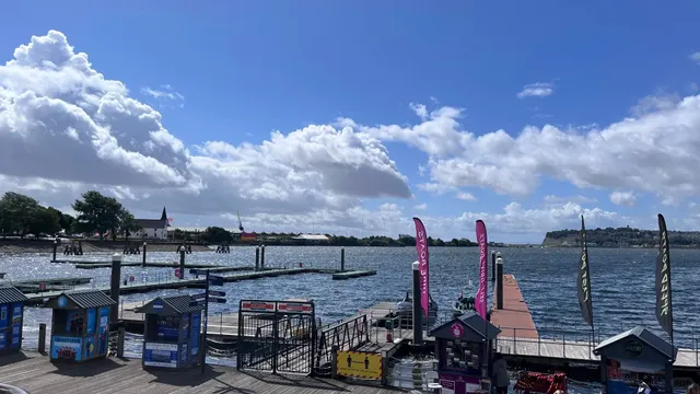 Viral Bunny Sculptures · Stunning Ocean Views for Photos 🩵