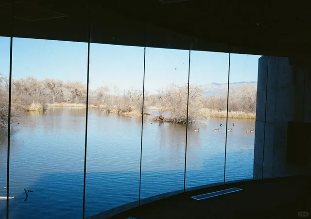 A Fake "Breaking Bad" Fan’s Trip to Albuquerque 😅