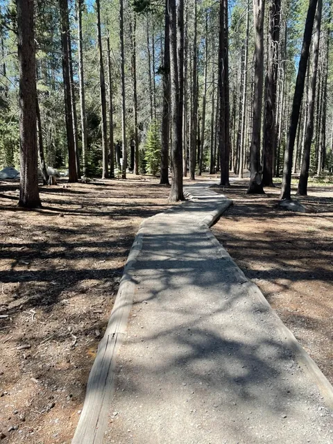 Donner Lake | Lakeshore Interpretive Trail & Scenic Escape 🌲🏞️