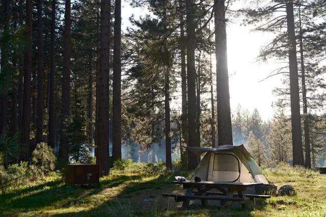 May in Tahoe is Simply Magical! 🌲💦✨
