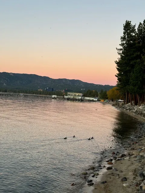 Here’s the translated and polished version of your post