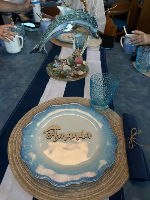 Miami Epic Dolphin Adventure! 🐬✨