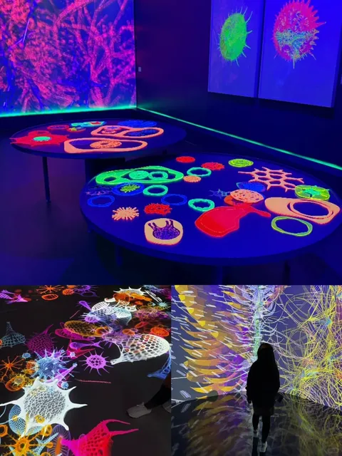 Paris Exhibition | Digital Deep Sea Adventure!  🌊✨  