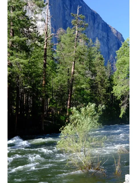 Yosemite + Fresno: A 4-Day Nature Recharge 🌲✨🚗