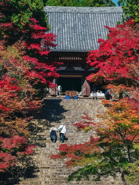 🌸 Must-Visit Cherry Blossom Spots in Japan 🌸