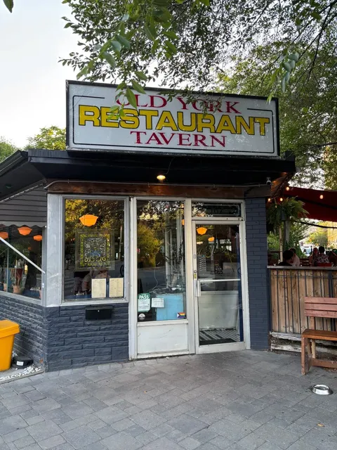 🇨🇦 Toronto DT's Most Bizarre Hidden Gem Restaurant! 🤪