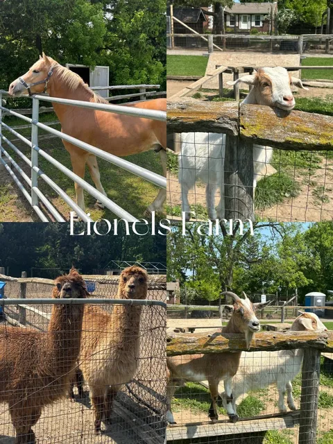 The Perfect Weekend Family Spot: Lionel's Farm!🌾🐴