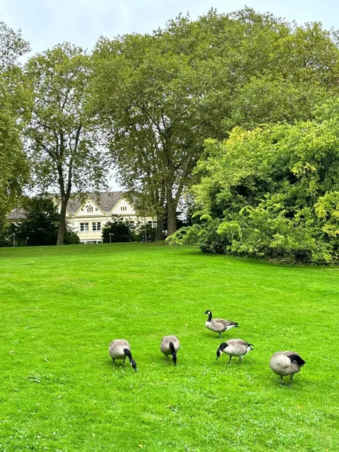 Discover Bochum's Green Oasis: The Perfect City Escape!🌿 