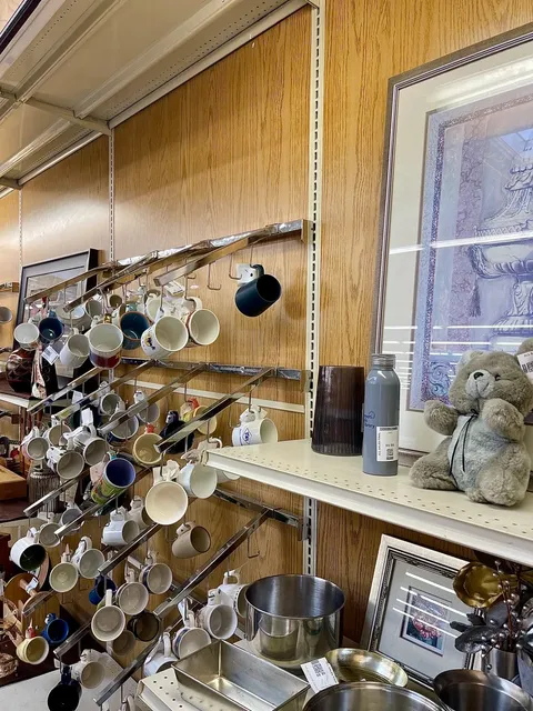 Cincinnati Daily｜Valley Thrift Store 🛍️✨