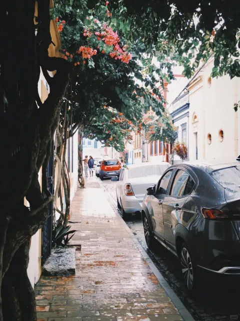 Recife & Surroundings Public Transport Travel Guide 