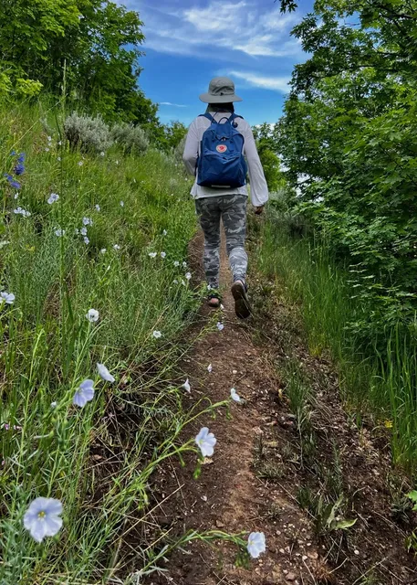 Hiking Near Salt Lake City to See Lupine Flowers 🌸🥾  