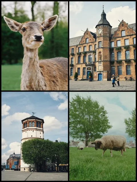 🇩🇪 Germany’s Least Boring City | One Day in Düsseldorf