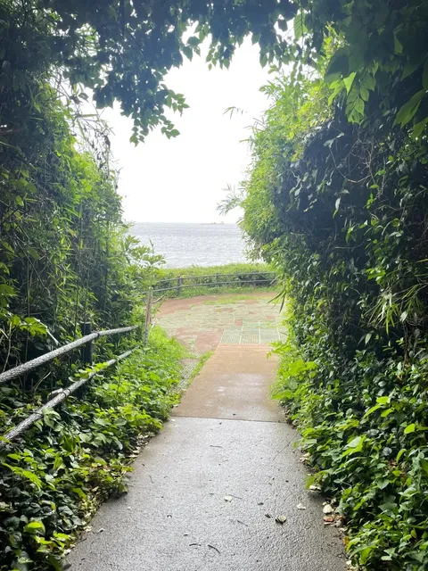 🌿 Even in the rainy season, the uninhabited island offers beautiful s