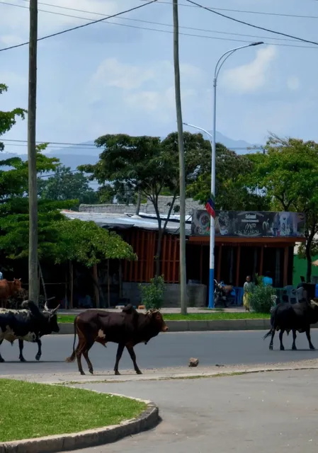 Awassa: Gateway to Omo Valley & Lakeside Retreat  😍