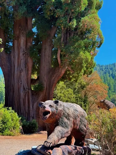 Avenue of the Giants – California’s Majestic Redwood Highway 🌲🛣️✨  