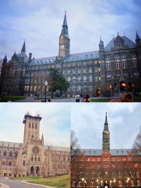 🇺🇸 Washington DC Cherry Blossom 2-Day Itinerary ？