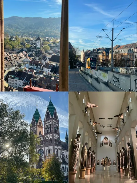 🇩🇪 So Frei in Freiburg!