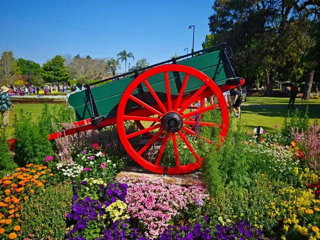 Toowoomba’s New Chapter: Where Blooms Meet Breezes！🌸📖