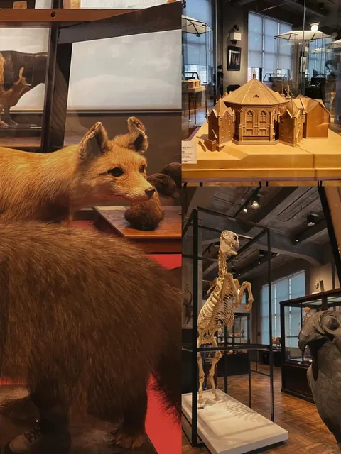 A Free Hidden Gem Museum from the University of Tokyo—Intermediatheque