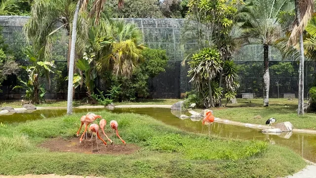 Hawaii 🌺Honolulu｜Ultimate Car-Free Travel Guide 3.0