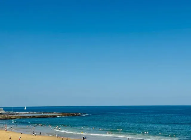 The sea in Newcastle is more beautiful than in Sydney.