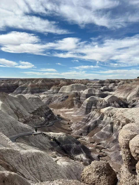AZ | Petrified Forest NP 🪨 Venturing Through the Uninhabited Zone