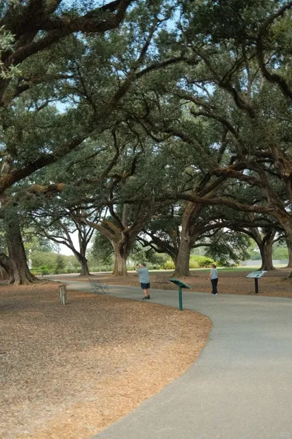 Tracing "Red Dead Redemption" at Oak Valley Plantation 🏜️