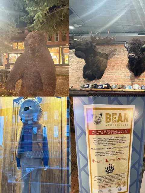 A Surprising Wildlife Encounter in Aspen’s Golden Autumn 🦊🍂