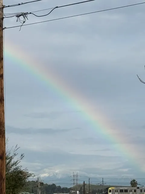 Delicious Pastry Shop in LA Chinatown! 🥮✨