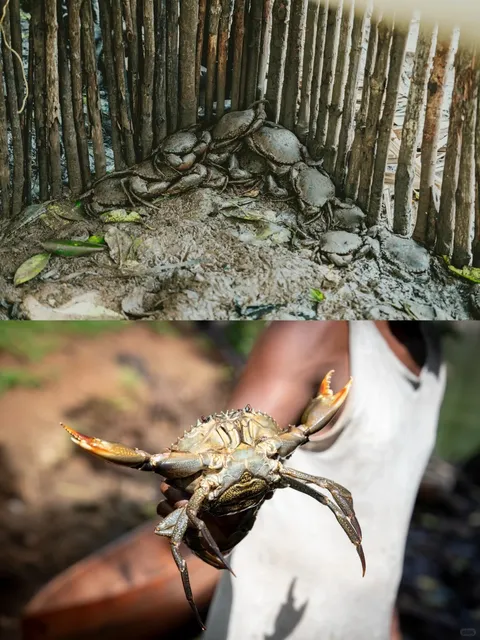 🇸🇧 Solomon Islands Visa-Free: The Real Adventure Lies in the Outer I